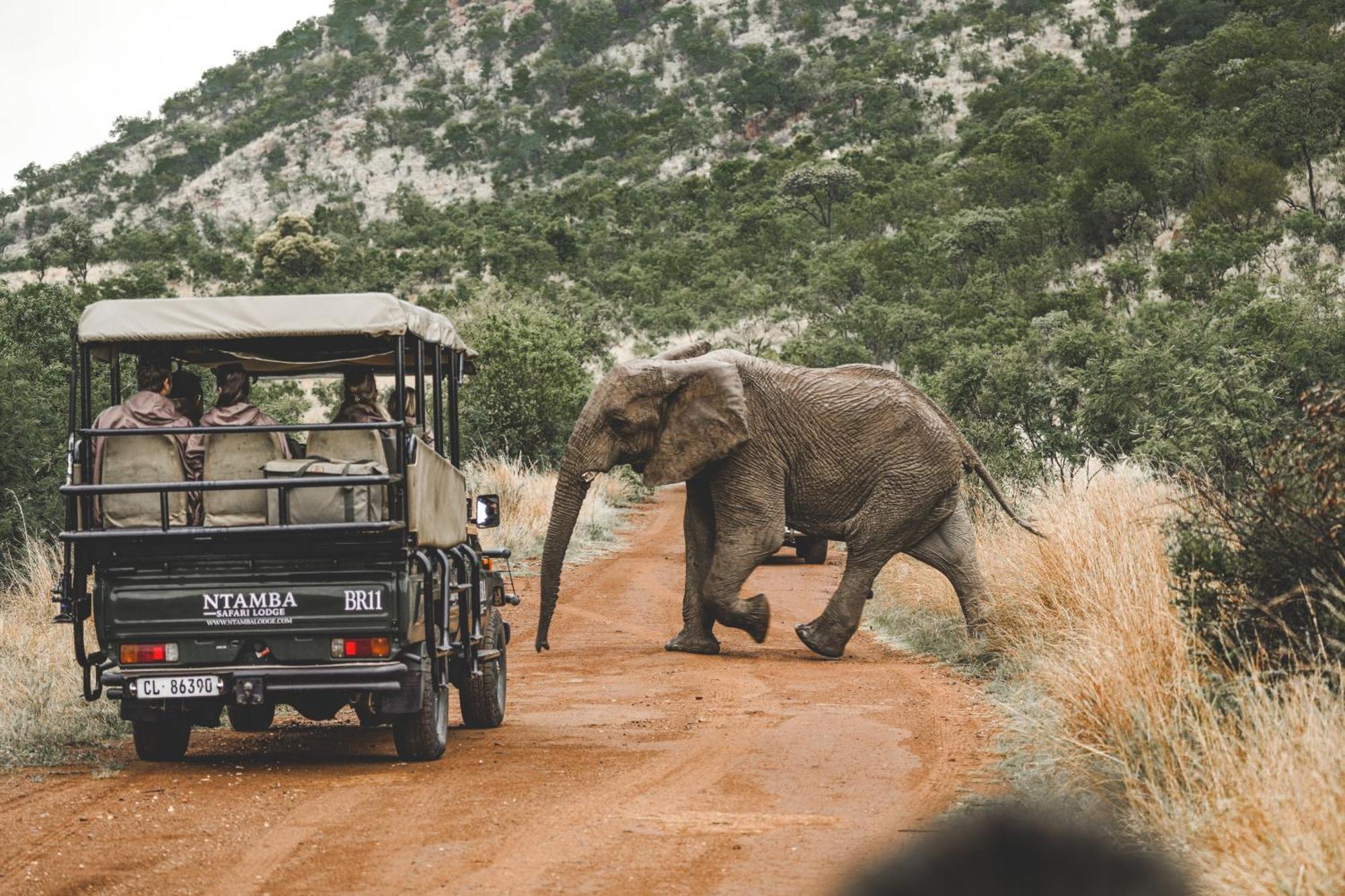 Ntamba Safari Lodge Matlhagame Экстерьер фото